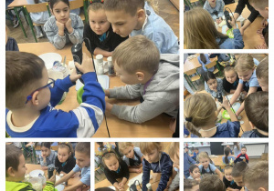 "Zdrowe śniadanie".